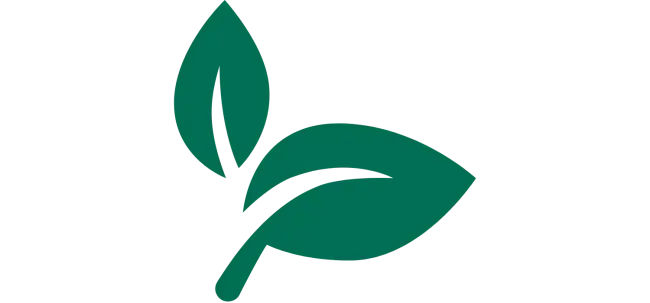 green leaf icon