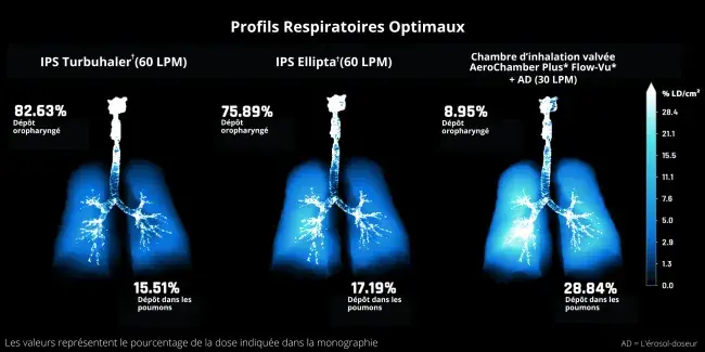 profils respiratoires optimaux