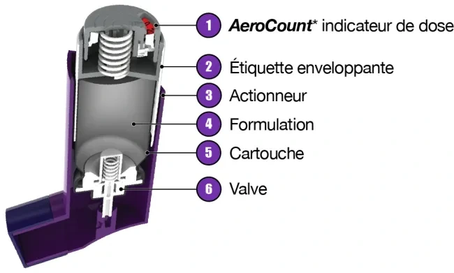 Aerocount cutaway diagram