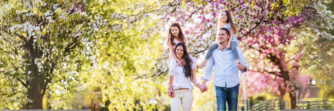 Spring family