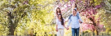 Spring family